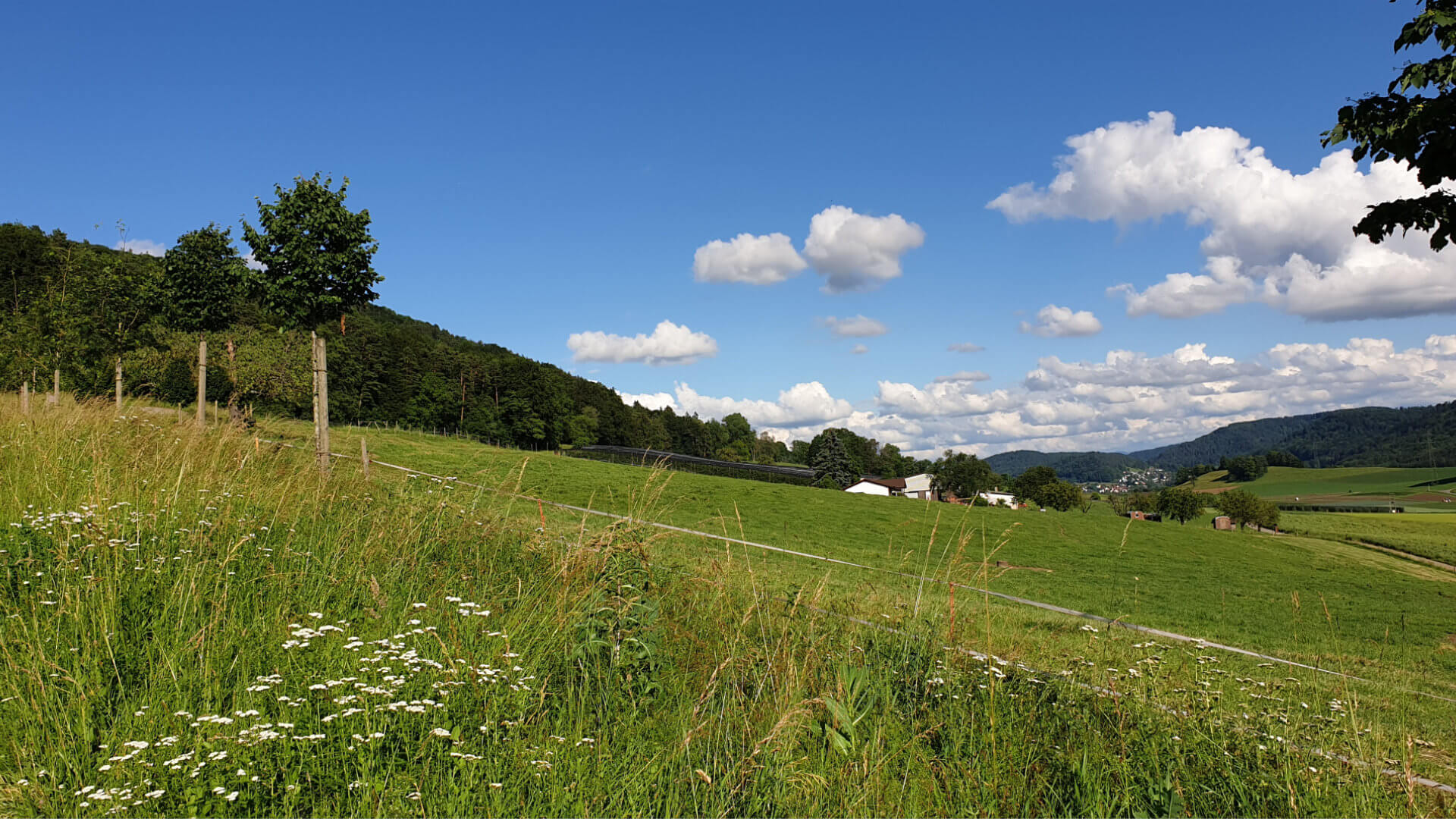 Puurehof im Rüedi